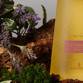 - FOR GENTLEMEN COLLECTION | PLP | English Lavender