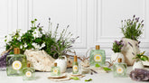 - ENGLISH LAVENDER COLLECTION | PLP | English Lavender