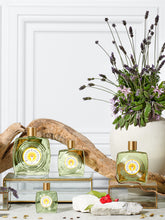 - ENGLISH LAVENDER COLLECTION | PLP | English Lavender