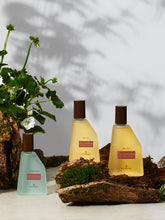 - FOR GENTLEMEN COLLECTION | PLP | English Lavender