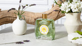| English Lavender