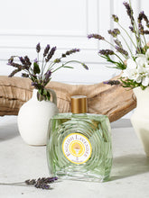 | English Lavender