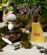 | English Lavender